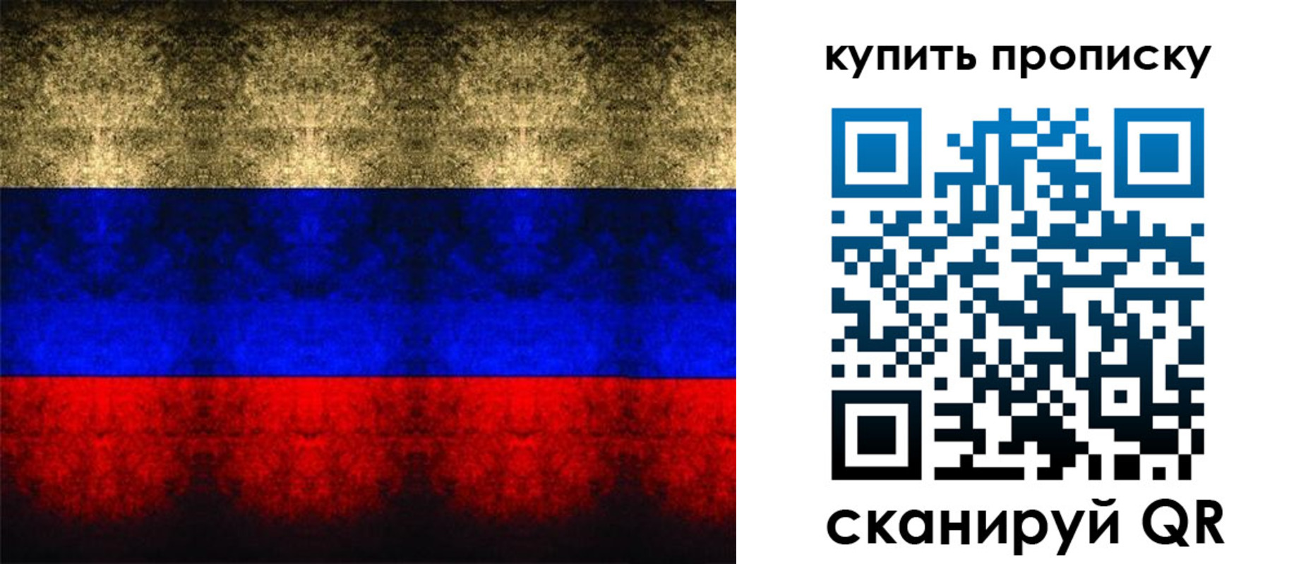 прописка в Щёкино